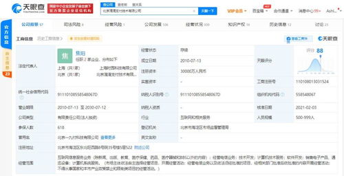 計(jì)算機(jī)軟件的開(kāi)發(fā) 從概念到實(shí)現(xiàn)的科技之旅